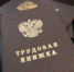 Волховстроевская транспортная прокуратура приняла меры к устранению нарушений трудового законодательства - Волховстроевская транспортная прокуратура