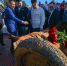В Ленобласти подняли орудие времён Великой Отечественной войны - Pro-Volhov.Ru